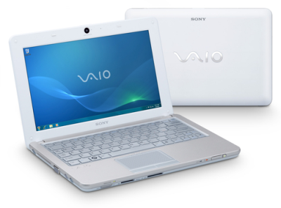 Sony Vaio W21M1-W